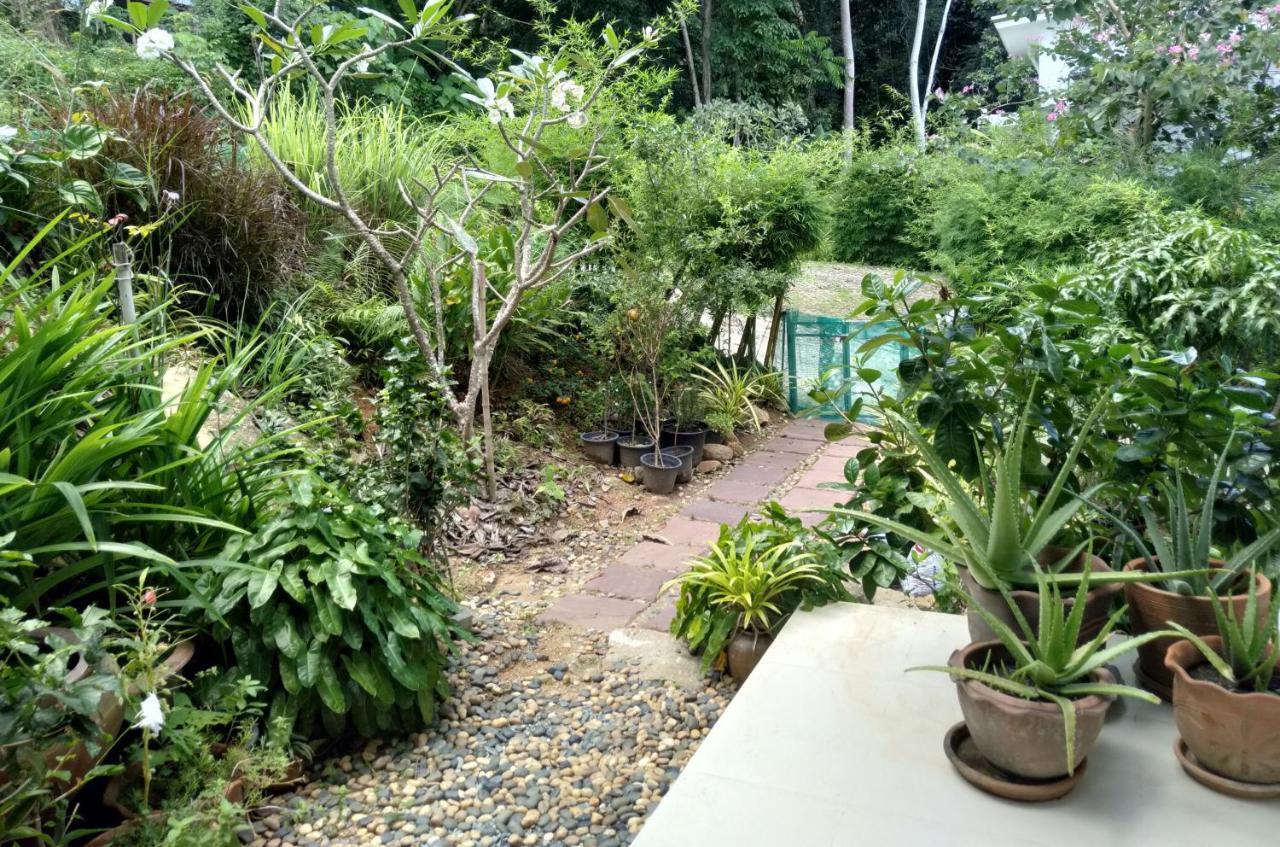 Perfect Sea View Mountain Villa Koh Samui Chaweng  Exterior photo