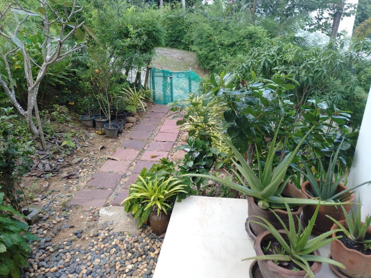 Perfect Sea View Mountain Villa Koh Samui Chaweng  Exterior photo